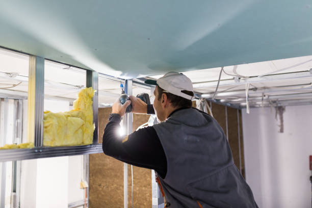 Best Energy Efficiency Insulation in Chapel Hill, NC