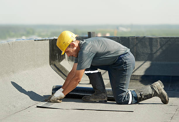 Best Specialized Insulation Services in Chapel Hill, NC