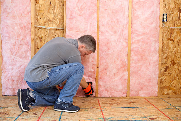 Best Geographic-Specific Insulation Services in Chapel Hill, NC