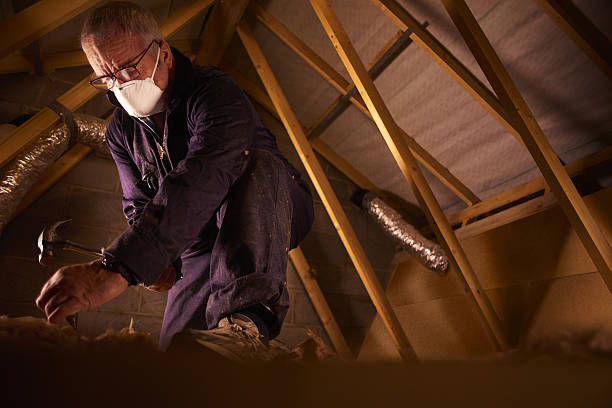 Best Fiberglass Insulation in Chapel Hill, NC